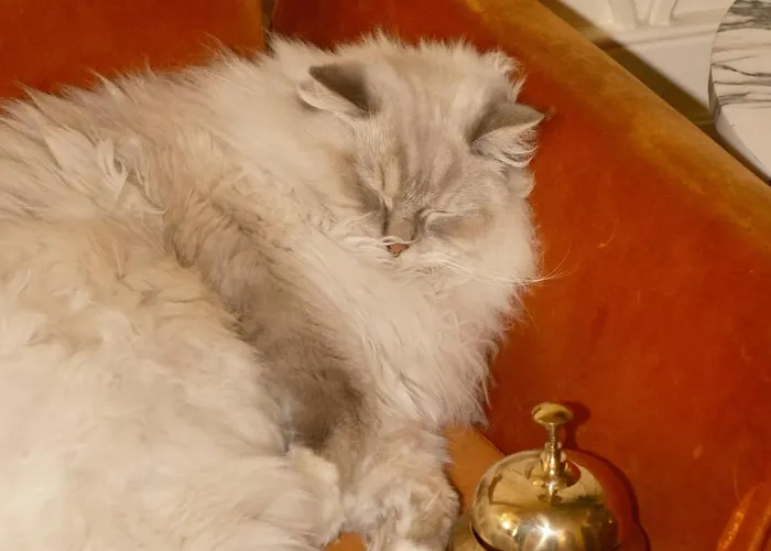 Thoumieux Отель Париж