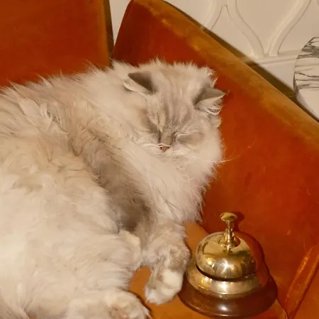 Thoumieux Szálloda Párizs